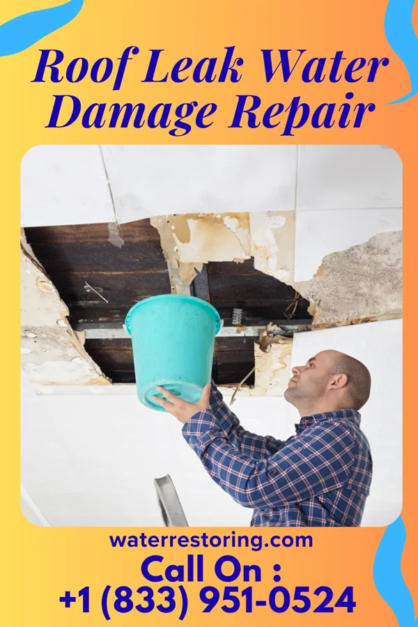 Roof Leak Water Damage Repair in Riverview, SC