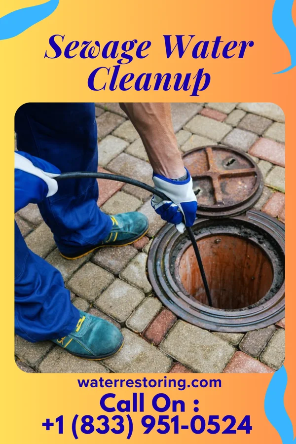 Sewage Water Cleanup in Riverview, SC